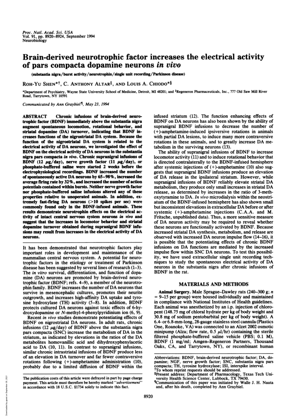 Brain-Derived Neurotrophic Factor Increases the Electrical Activity Of