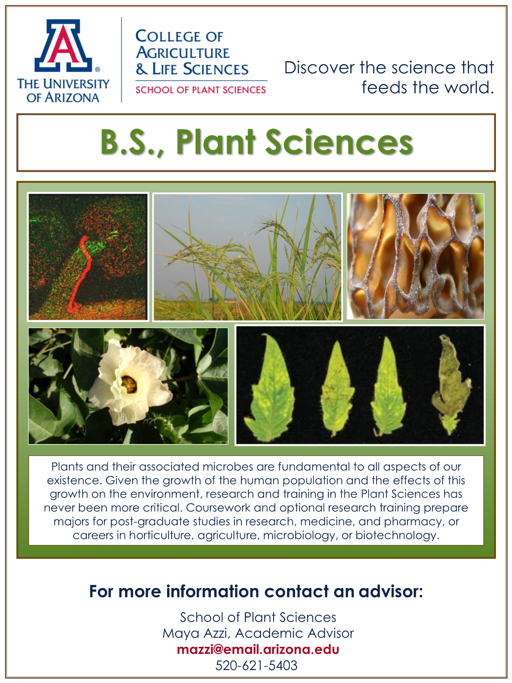 Plant Sciences