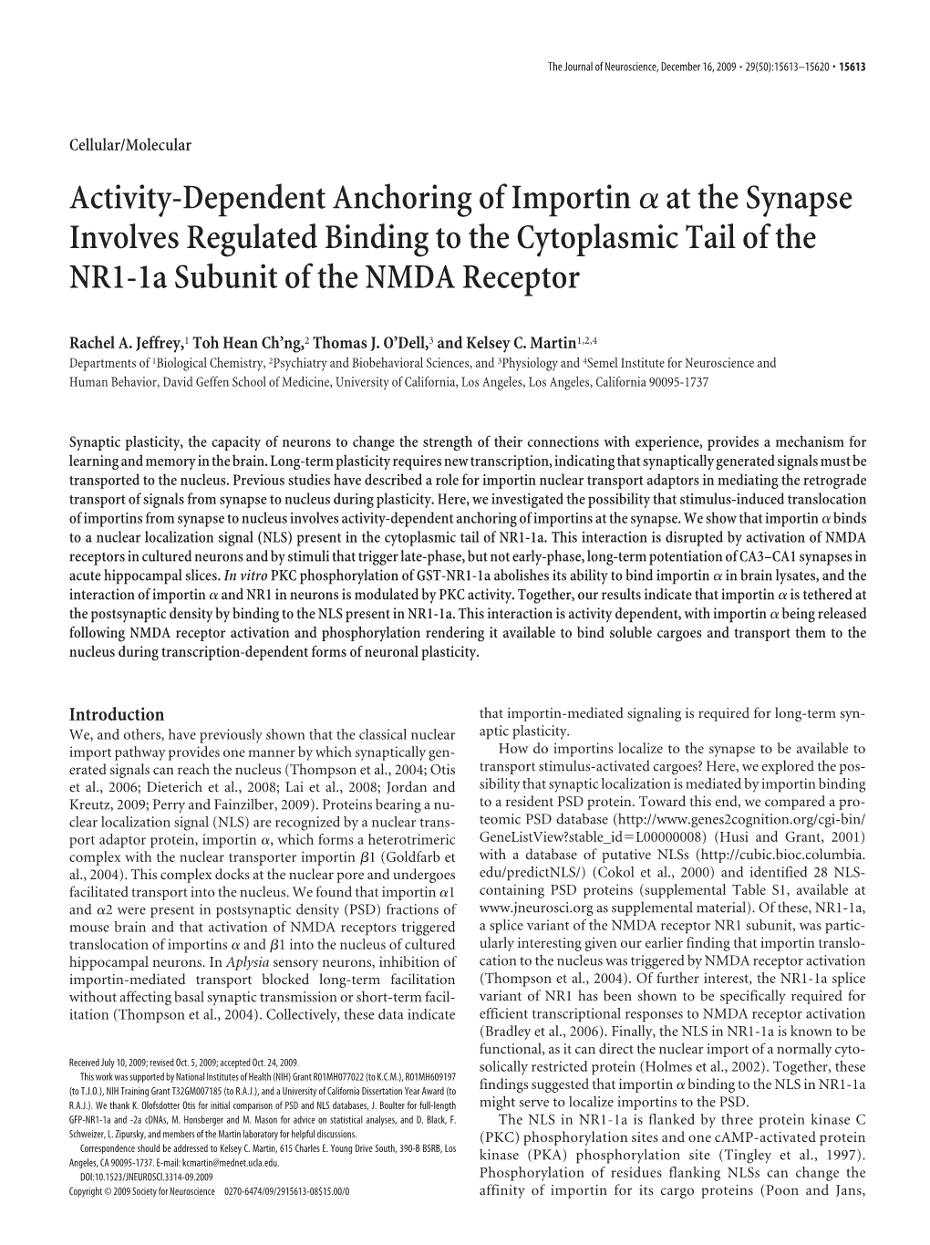 Activity-Dependent Anchoring of Importinαat the Synapse Involves