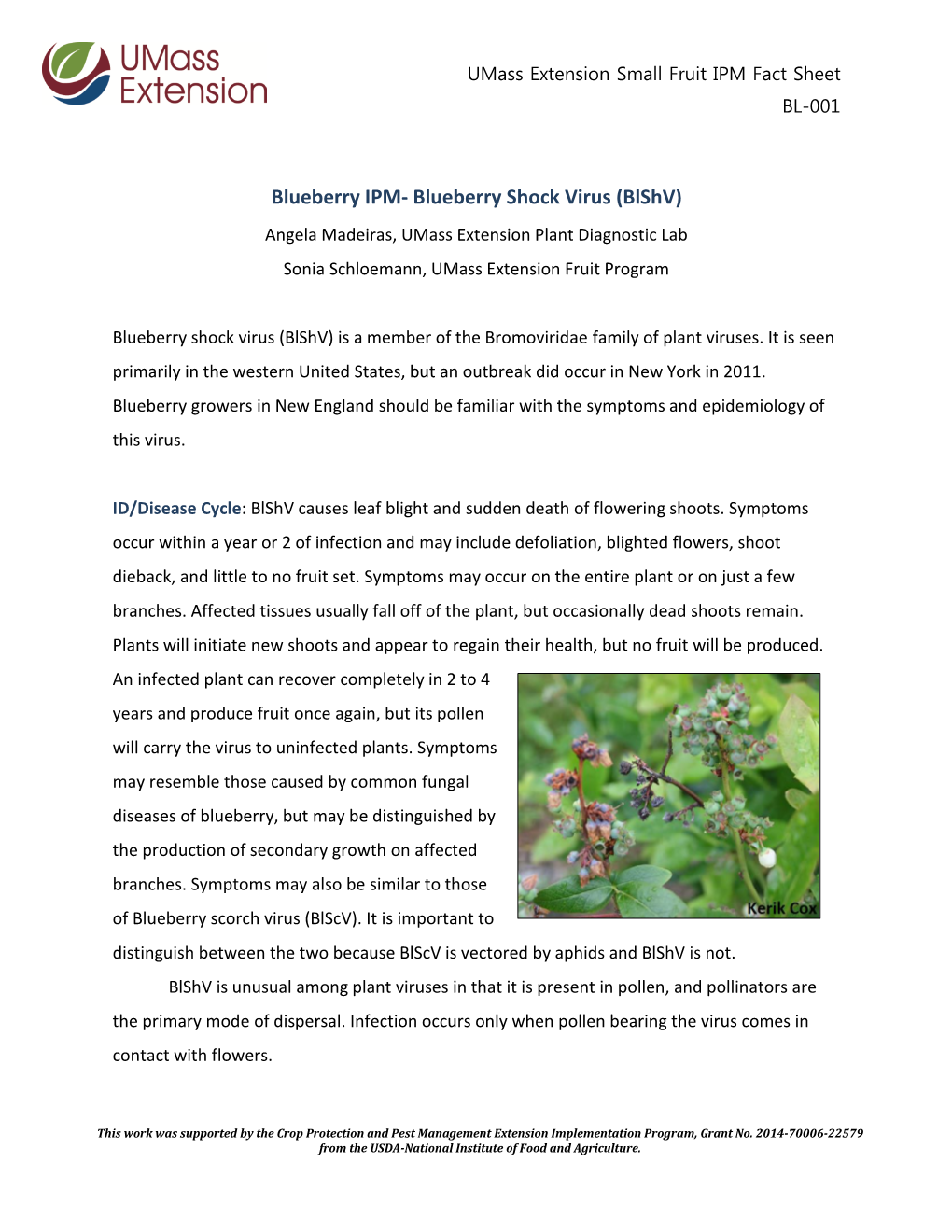 Blueberry Shock Virus (Blshv) Angela Madeiras, Umass Extension Plant Diagnostic Lab Sonia Schloemann, Umass Extension Fruit Program