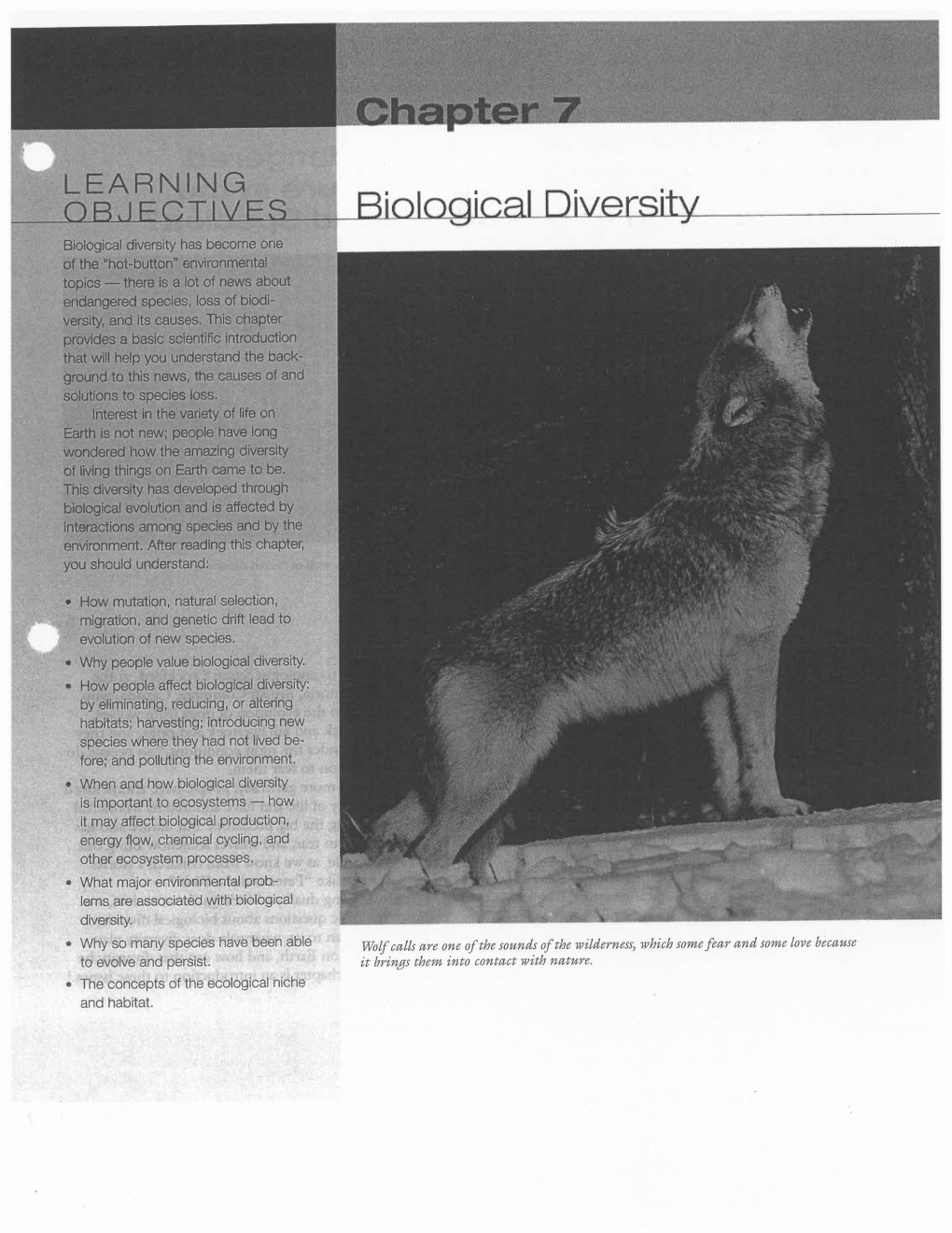 Wolf Calls Are One of the Sounds of the Wilderness, Which Some Fear and Some Love Because It Brings Them Into Contact with Nature