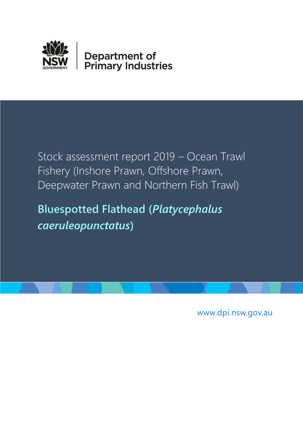 NSW Stock Assessment Report