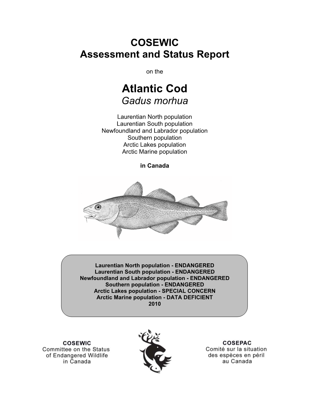 Atlantic Cod (Gadus Morhua) in the Southern Gulf of St