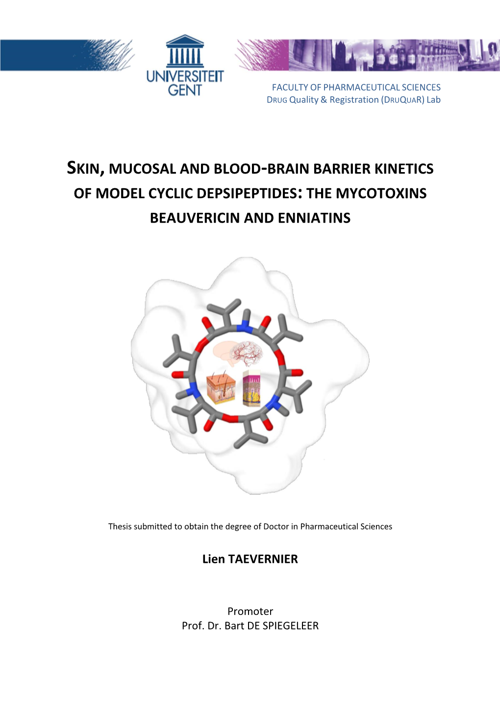 Skin,Mucosal and Blood-Brain Barrier Kinetics