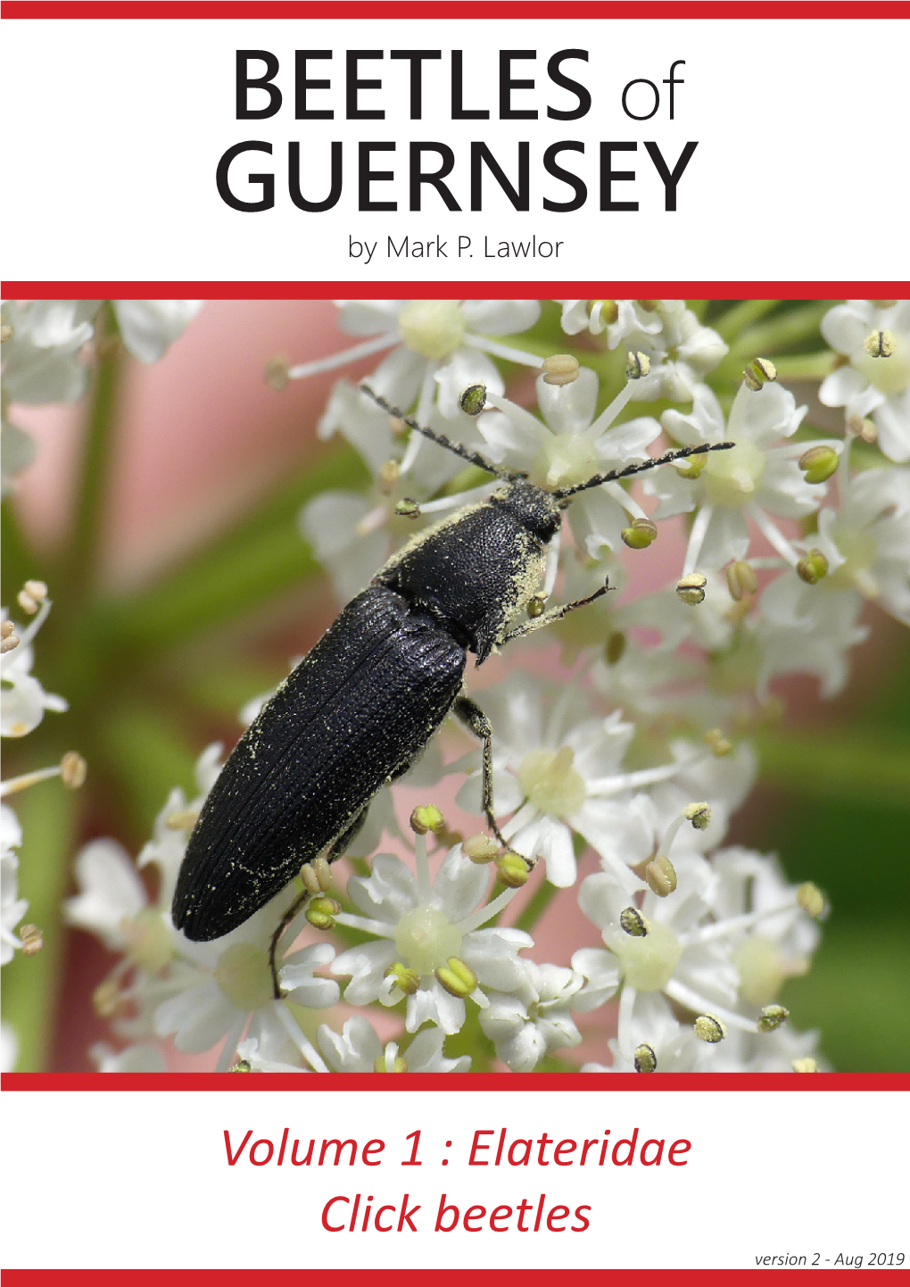 BEETLES of GUERNSEY by Mark P