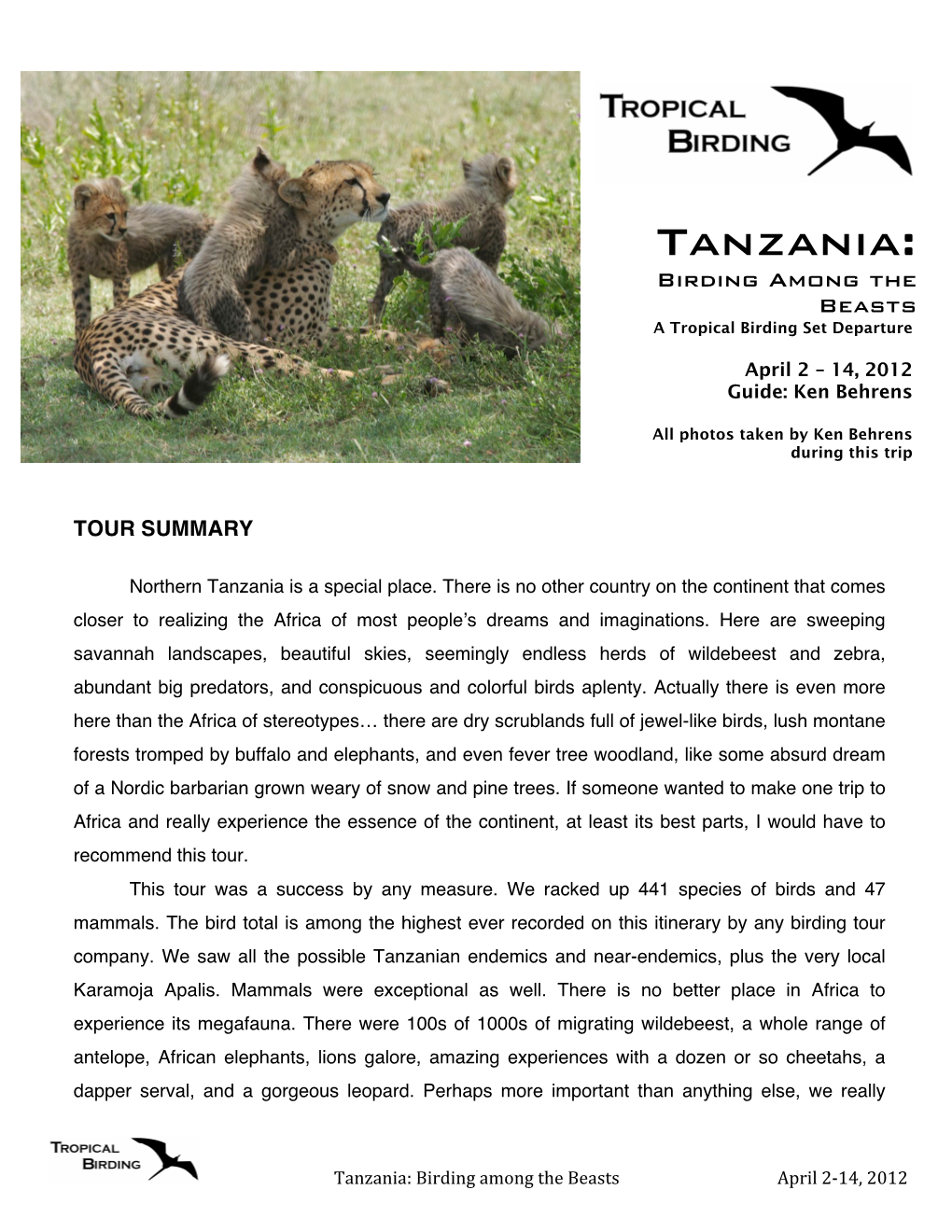 Tanzania: Birding Among the Beasts a Tropical Birding Set Departure