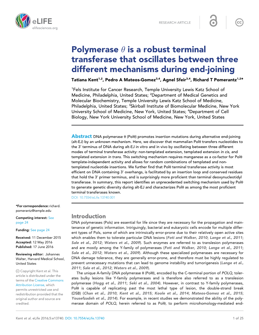 Polymerase Is a Robust Terminal Transferase That Oscillates Between