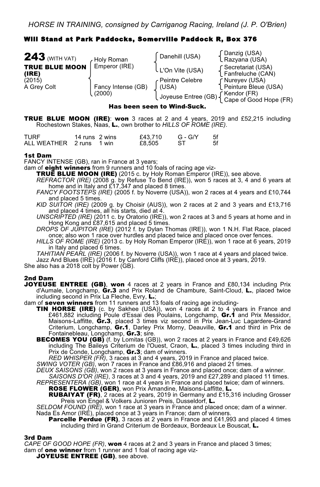 HORSE in TRAINING, Consigned by Carriganog Racing, Ireland (J