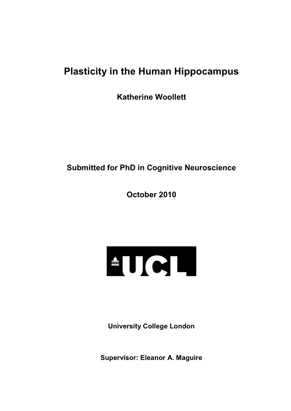 Plasticity in the Human Hippocampus