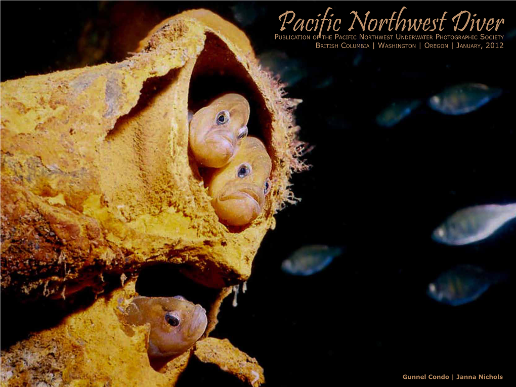 Pacific Northwest Diver BI-MONTHLY MAGAZINE & WEB SITE PROMOTING UNDERWATER PHOTOGRAPHY, EDUCATION, & TRAVEL in the PACIFIC NORTHWEST | JANUARY, 2012