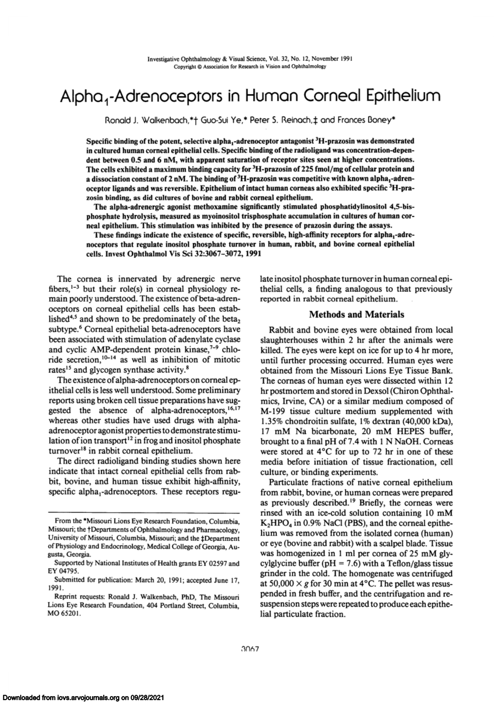 Alpha ^Adrenoceptors in Human Corneal Epithelium