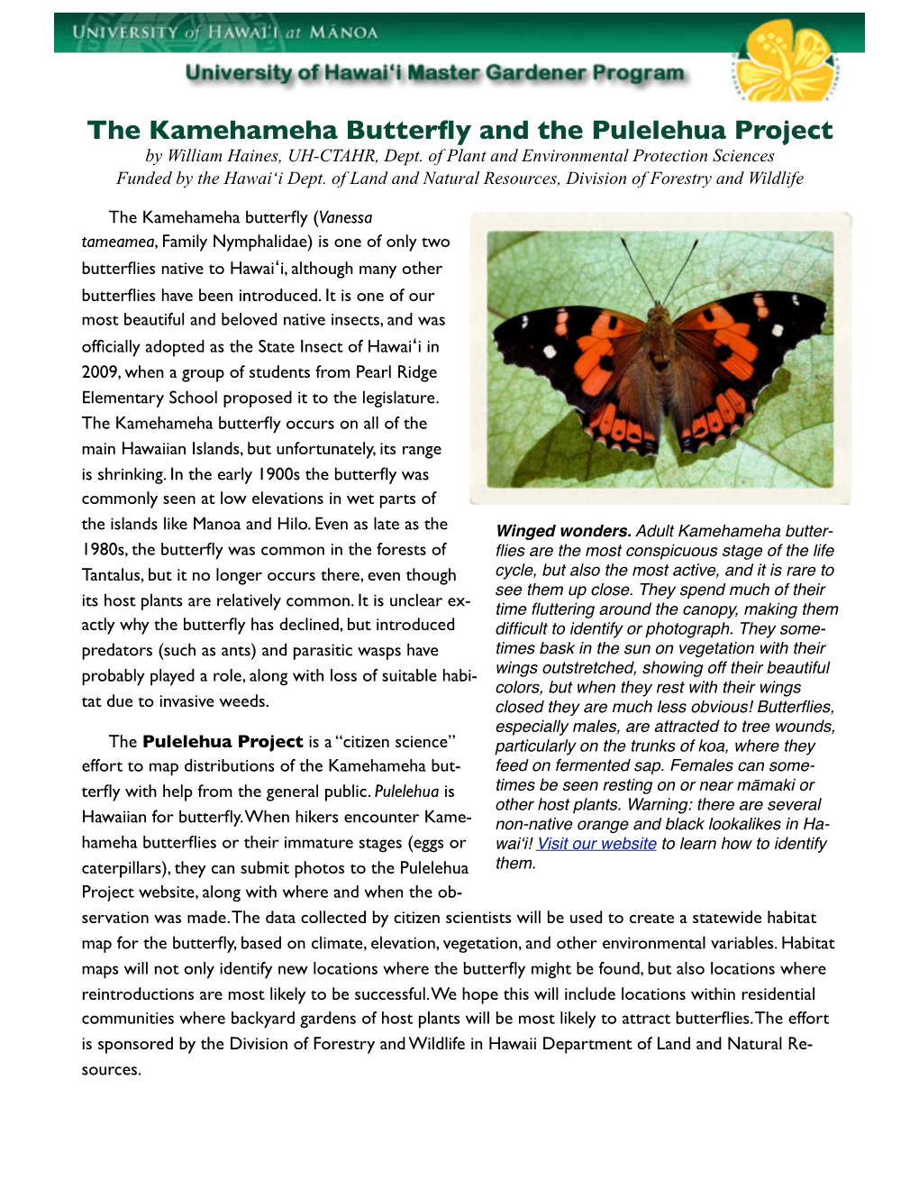 The Kamehameha Butterfly and the Pulelehua Project