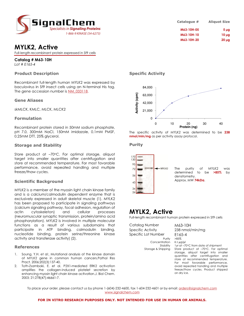 MYLK2, Active MYLK2, Active