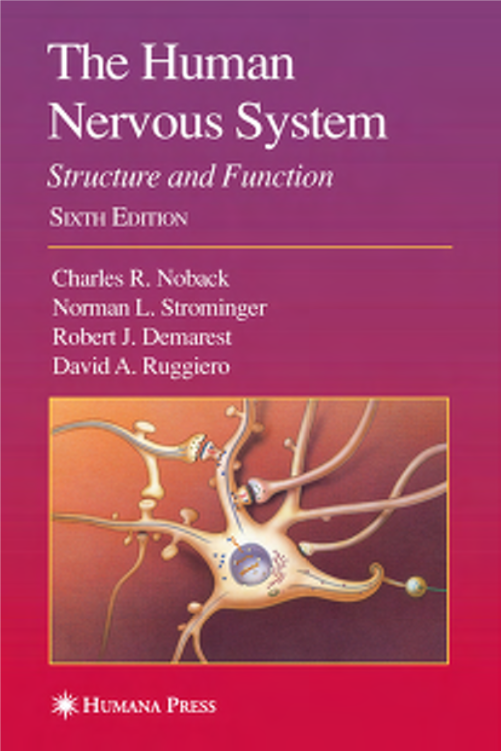 The Human Nervous System S Tructure and Function