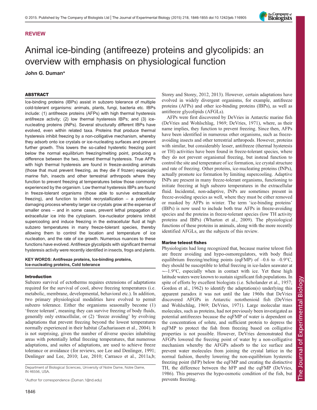 Animal Ice-Binding (Antifreeze) Proteins and Glycolipids: an Overview with Emphasis on Physiological Function John G