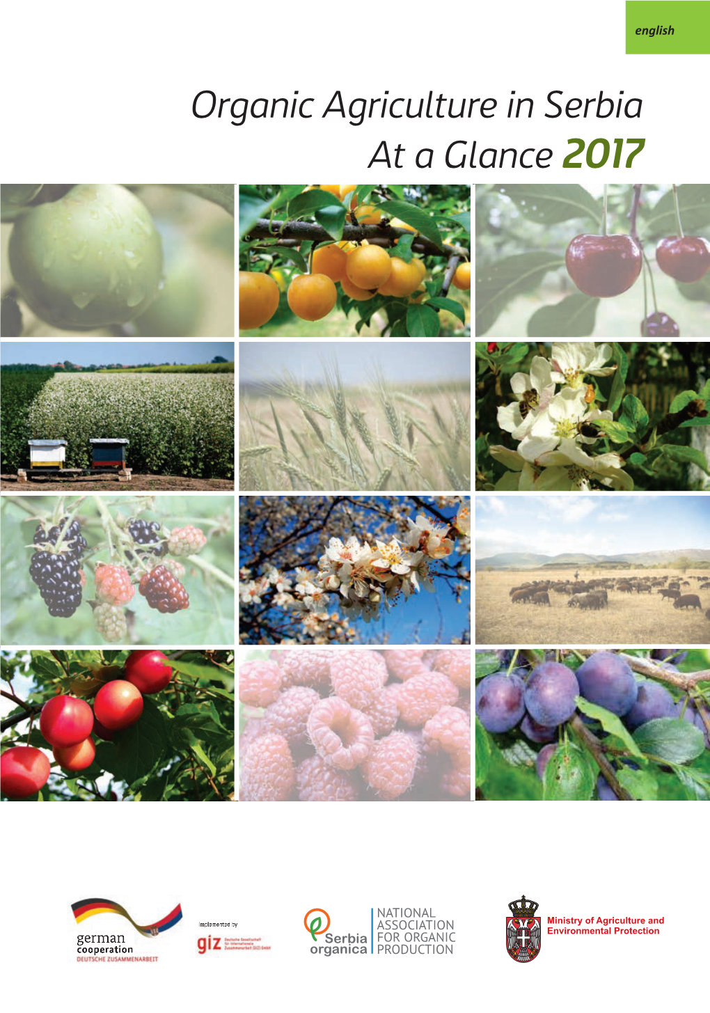 Organic Agriculture in Serbia : at a Glance 2017 / [Author Ivana Simić ; Photos by Nenad Janicijevic, Vladan Ugrenovic, Slobodan Milenkovic]