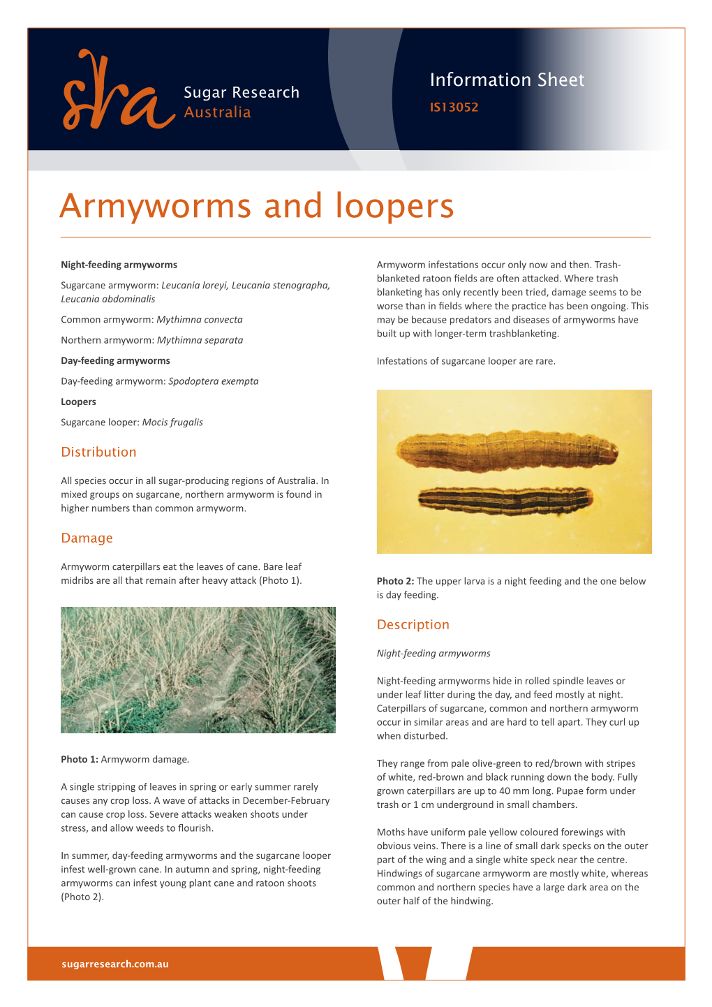 Armyworms and Loopers