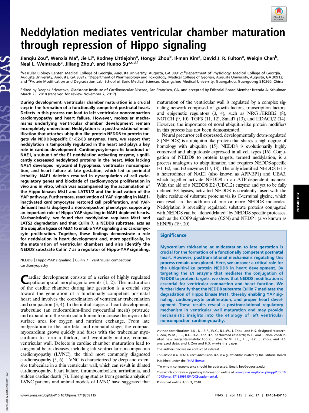 Neddylation Mediates Ventricular Chamber Maturation PNAS PLUS Through Repression of Hippo Signaling