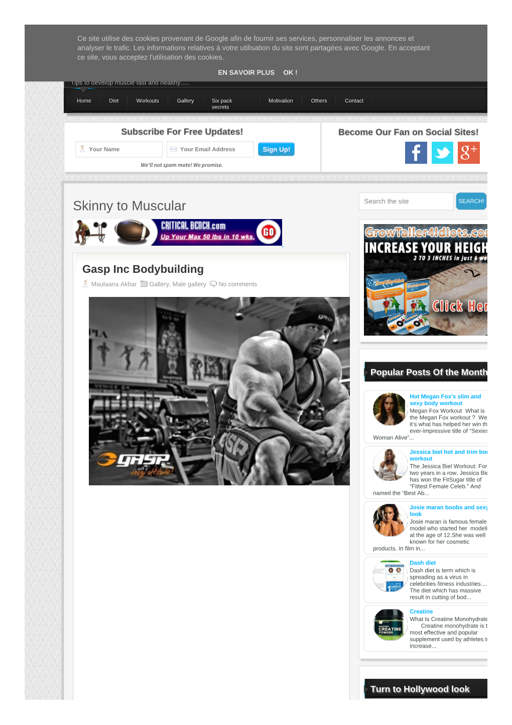 Gasp Inc Bodybuilding ~ How to Build Muscles