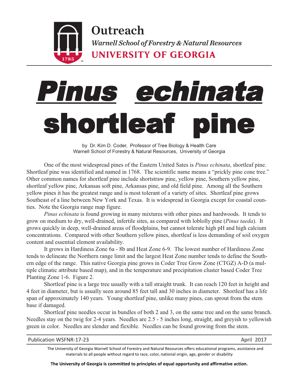 Pinus Echinata, Shortleaf Pine