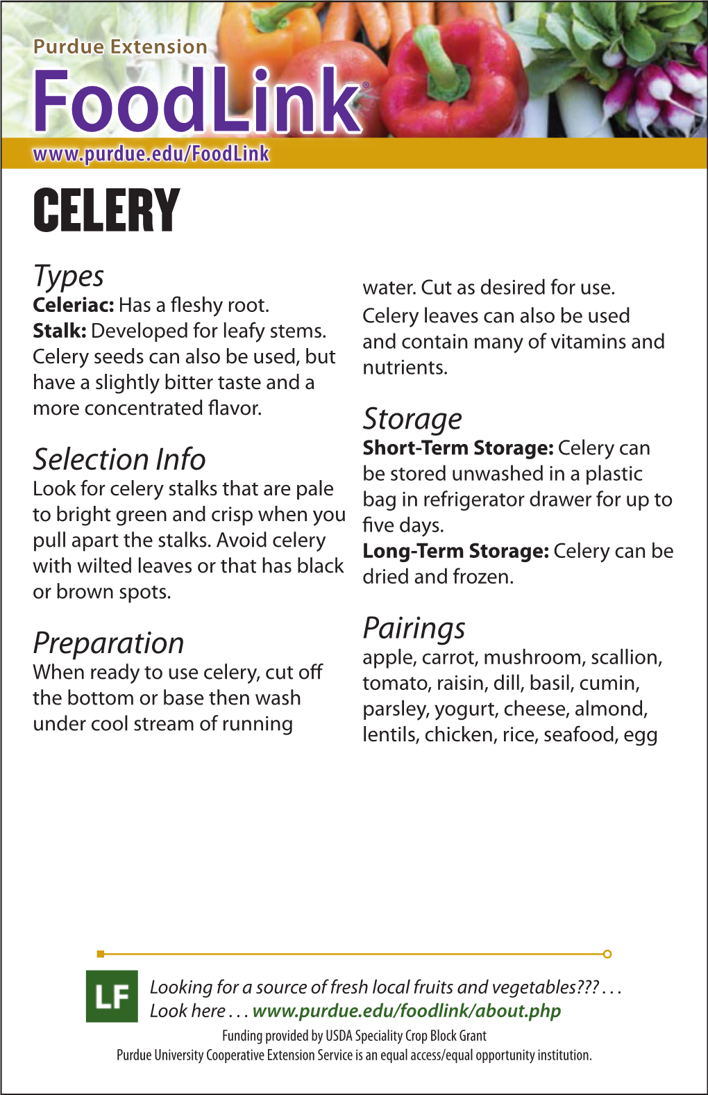 Foodlink® CELERY