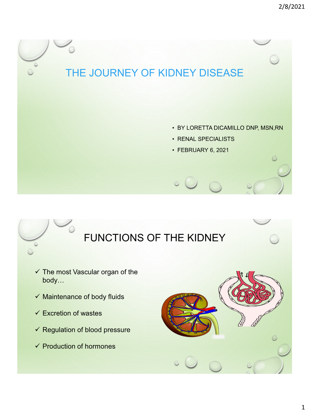 The Journey of Kidney Disease