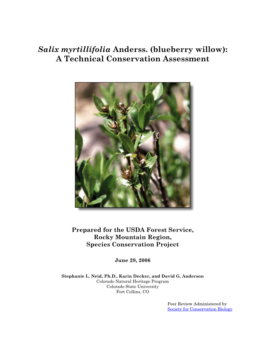 Blueberry Willow): a Technical Conservation Assessment