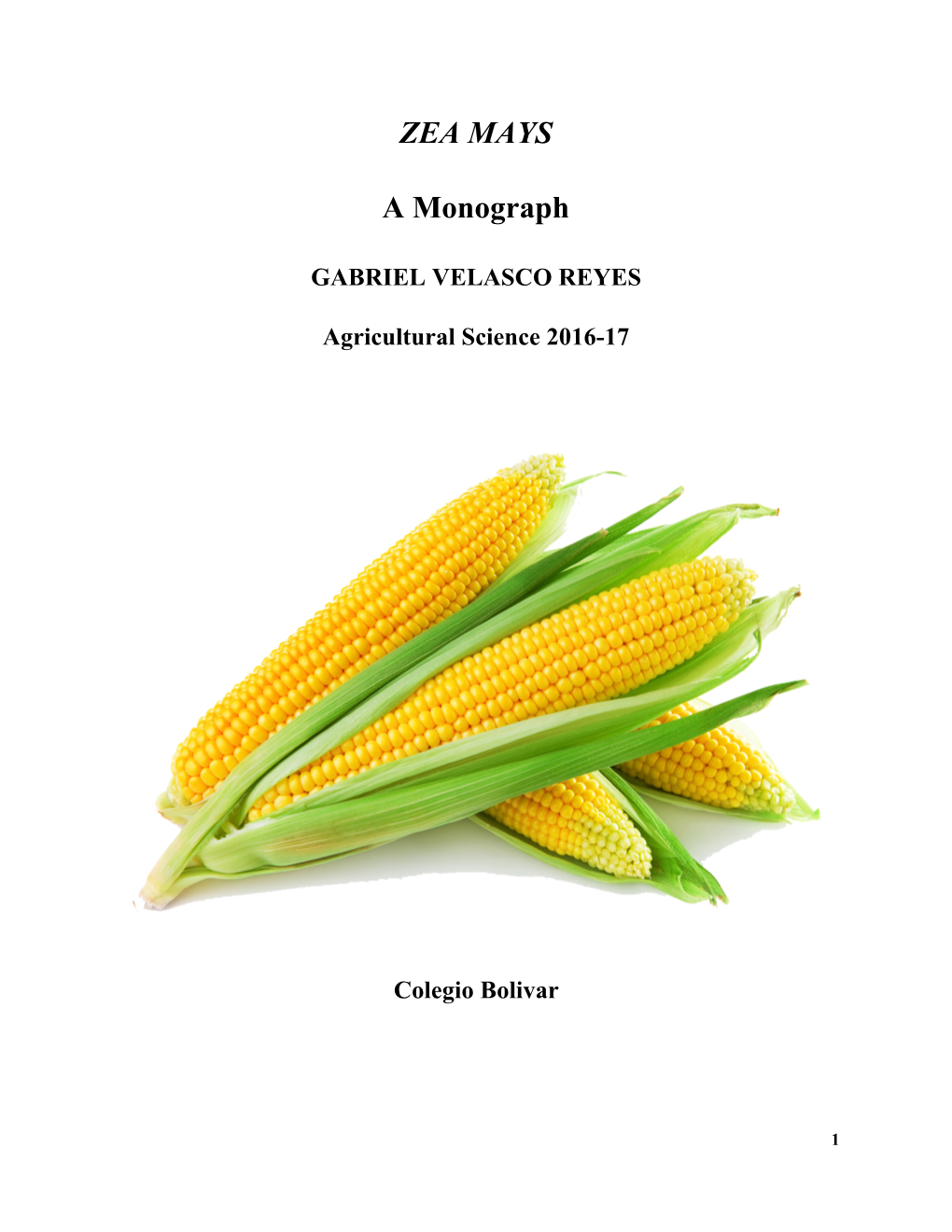 ZEA MAYS a Monograph