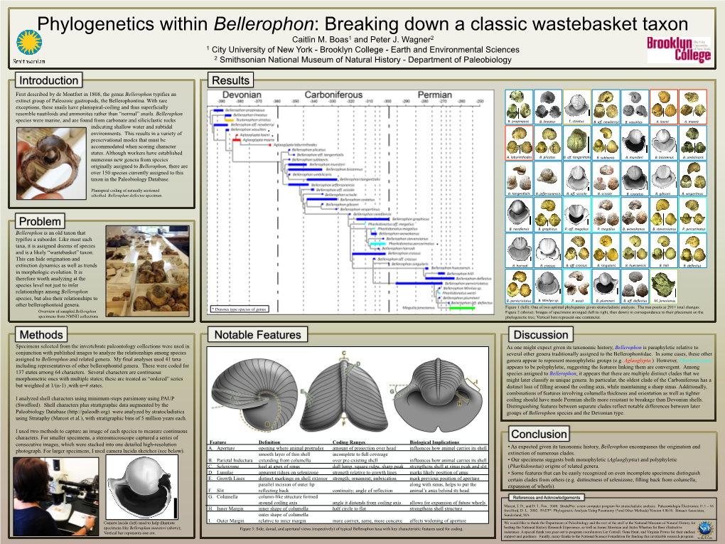 Boas Poster (NHRE 2013)