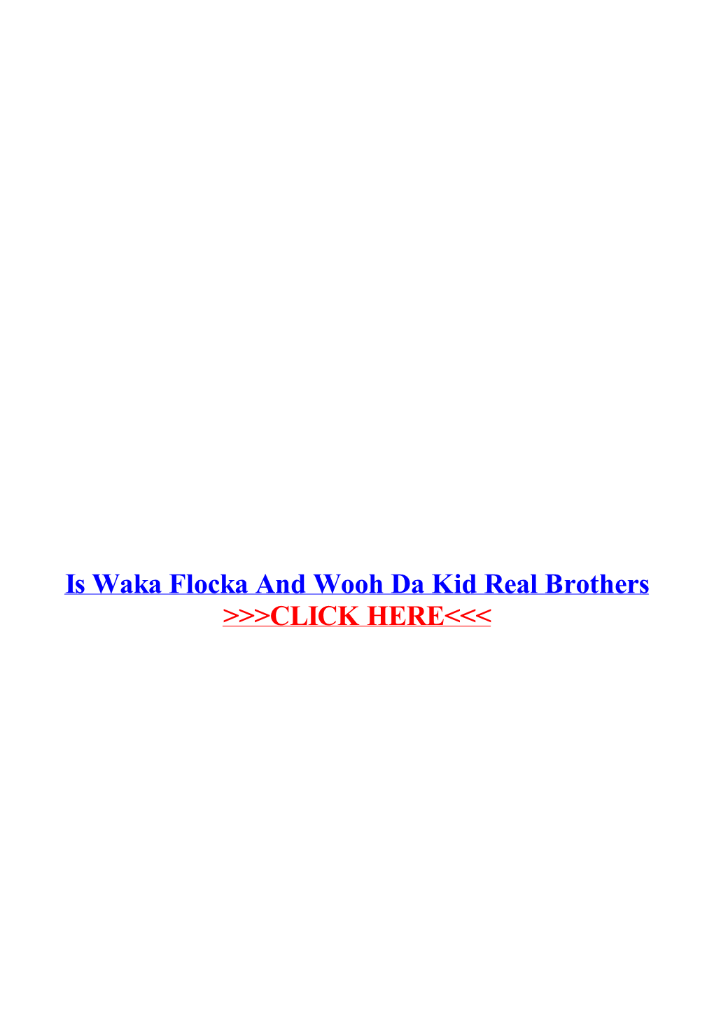 Is Waka Flocka and Wooh Da Kid Real Brothers.Pdf