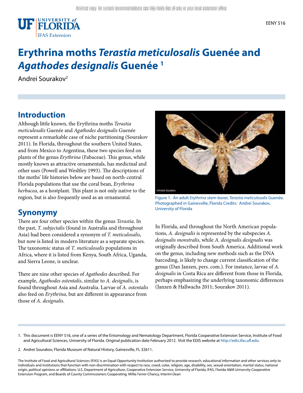 Erythrina Mothsterastia Meticulosalis Guenée and Agathodes Designalis