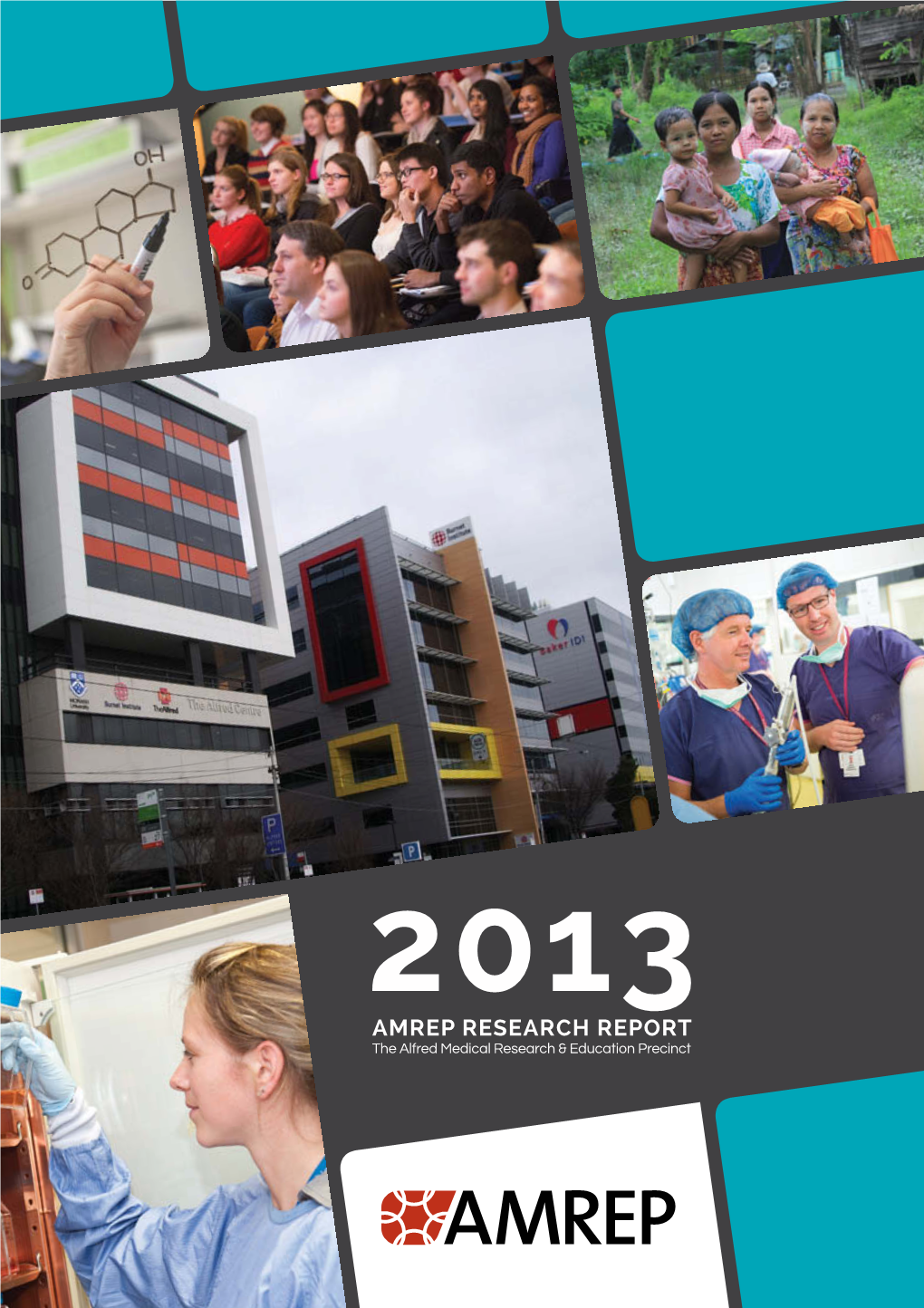 AMREP Research Report 2013
