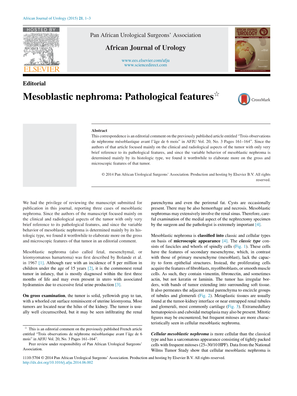 Mesoblastic Nephroma: Pathological Features