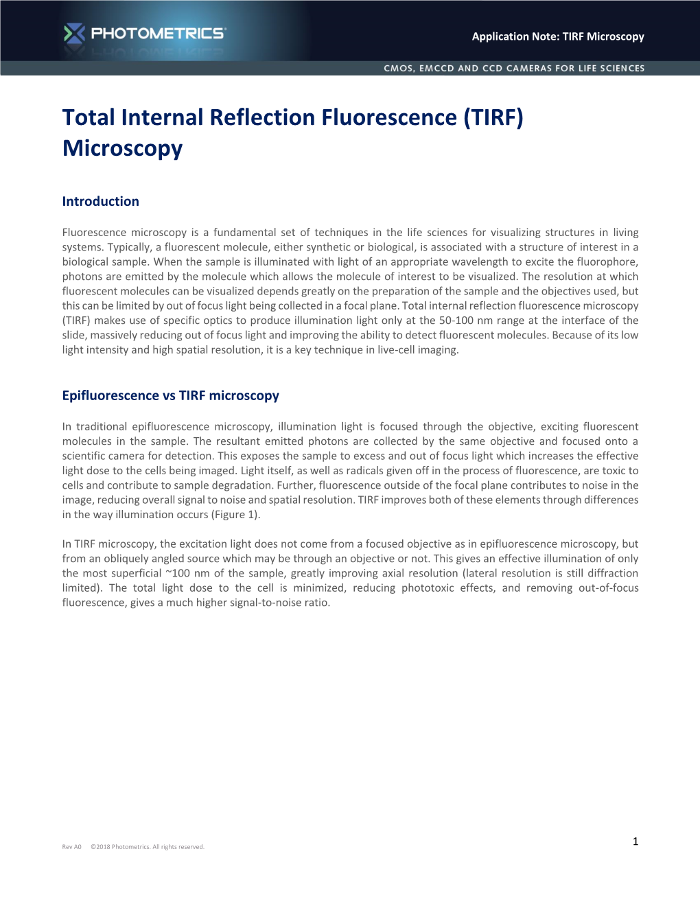 Total Internal Reflection Fluorescence (TIRF) Microscopy