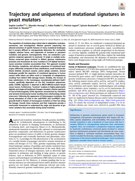 Trajectory and Uniqueness of Mutational Signatures in Yeast Mutators