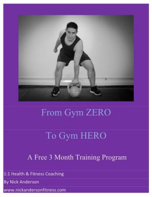 From Gym ZERO to Gym HERO
