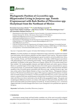 Phylogenetic Position of Geosmithia Spp. (Hypocreales) Living in Juniperus Spp