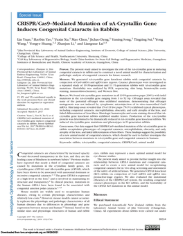 CRISPR/Cas9–Mediated Mutation of Aa-Crystallin Gene Induces Congenital Cataracts in Rabbits