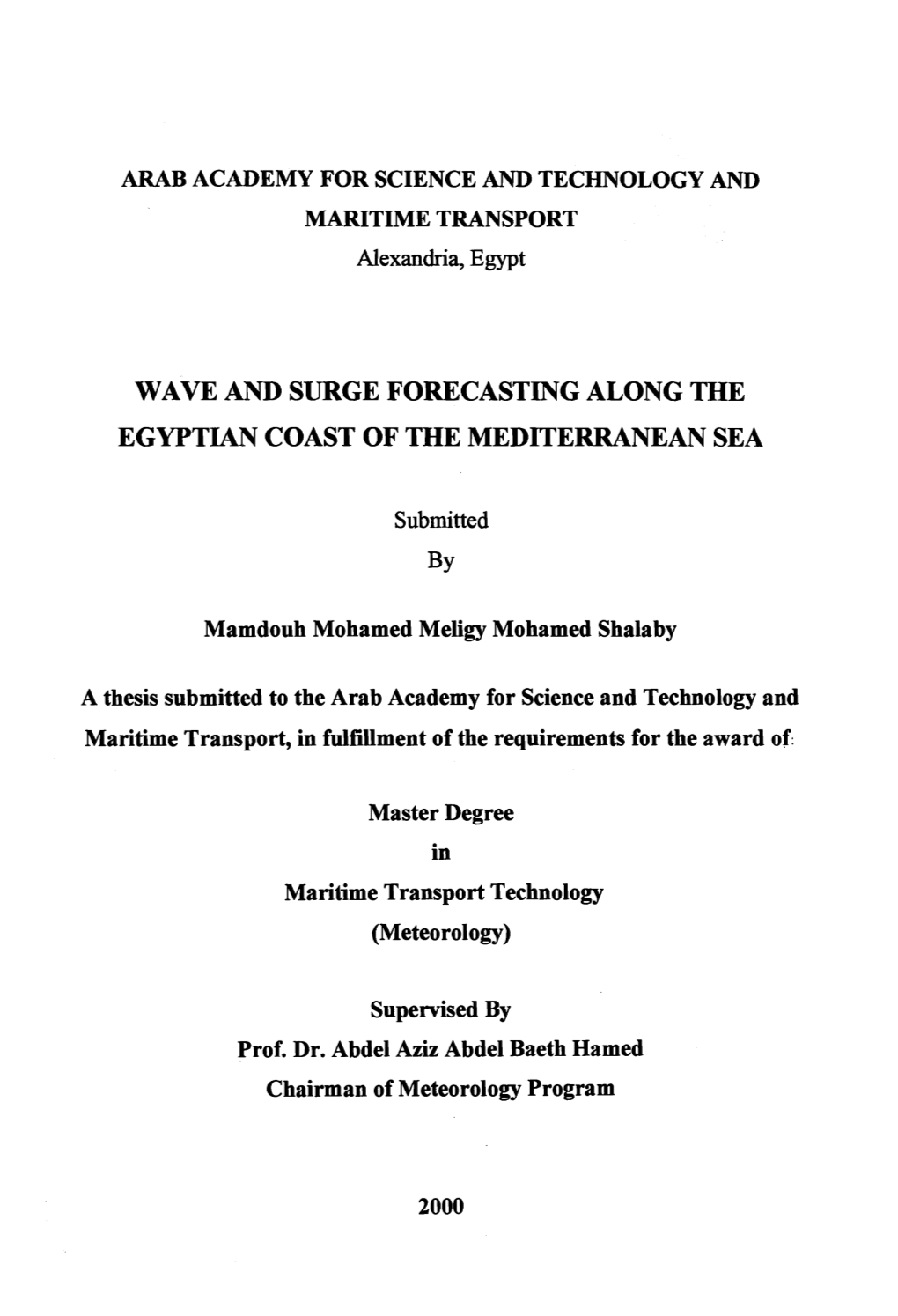 Wave and Surge Forecasting Along the Egyptian Coast of the Mediterranean Sea