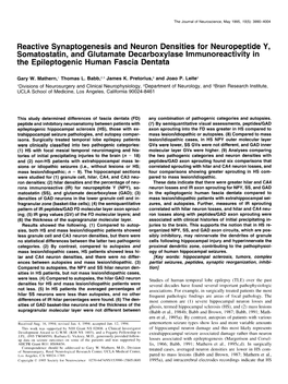 Reactive Synaptogenesis and Neuron Densities for Neuropeptide Y, Somatostatin, and Glutamate Decarboxylase Lmmunoreactivity in the Epileptogenic Human Fascia Dentata
