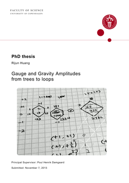 Gauge and Gravity Amplitudes from Trees to Loops