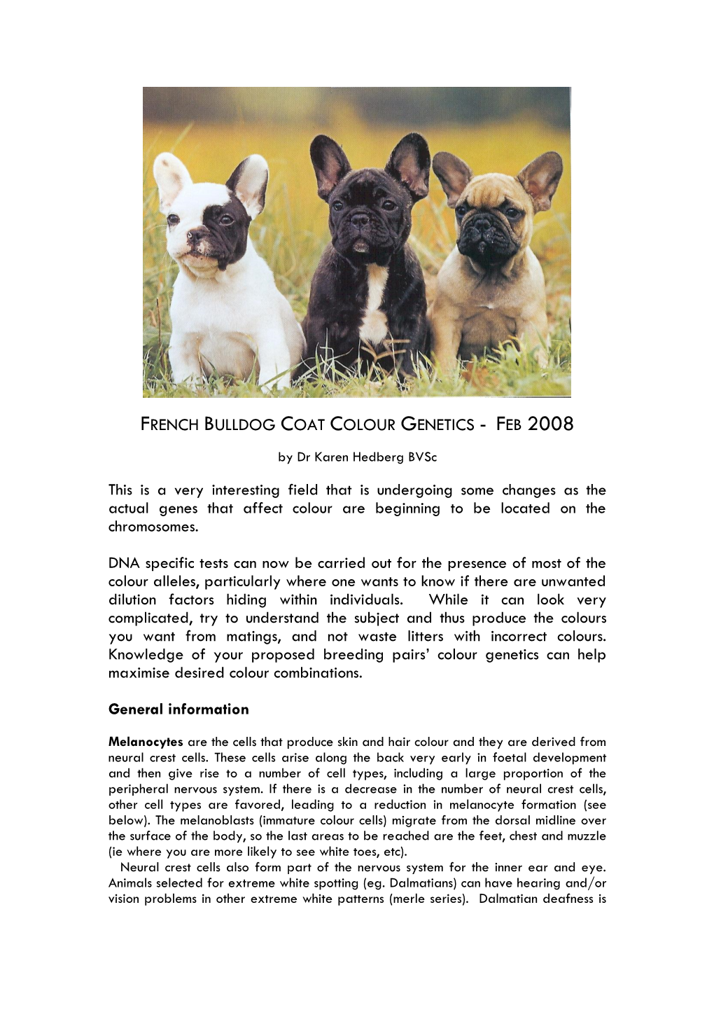 French Bulldog Coat Colour Genetics - Feb 2008