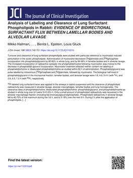 Analysis of Labeling and Clearance of Lung Surfactant Phospholipids in Rabbit: EVIDENCE of BIDIRECTIONAL SURFACTANT FLUX BETWEEN LAMELLAR BODIES and ALVEOLAR LAVAGE