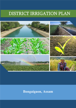 District Irrigation Plan, Bongaigaon.Pdf