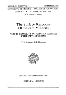 The Surface Reactions of Silicate Minerals