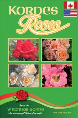 Kordes Roses Catalog