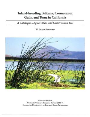 Inland-Breeding Pelicans, Cormorants, Gulls, and Terns in California a Catalogue, Digital Atlas, and Conservation Tool