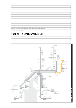 Rapport Tuen Kongsvinger.Indd