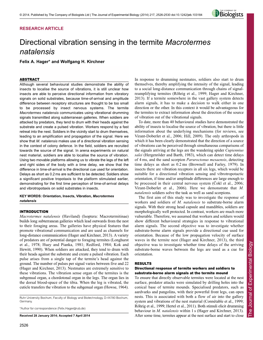 Directional Vibration Sensing in the Termite Macrotermes Natalensis