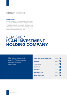 REMGRO* IS an INVESTMENT HOLDING COMPANY * Or the Company